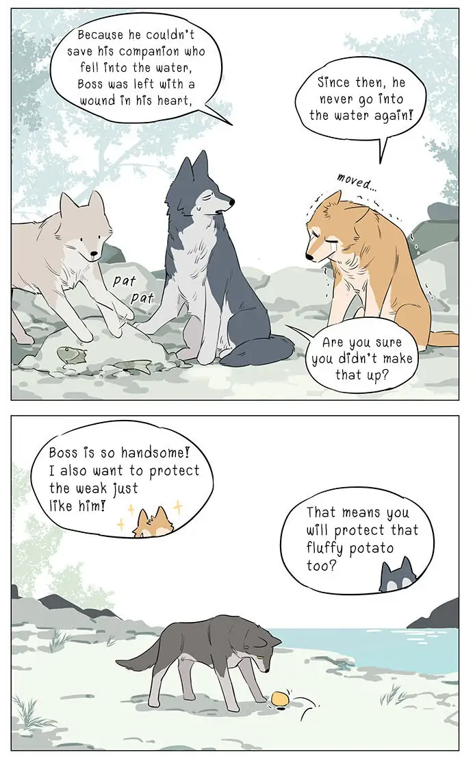 Papa Wolf and The Puppy - Chapter 19 manhwa