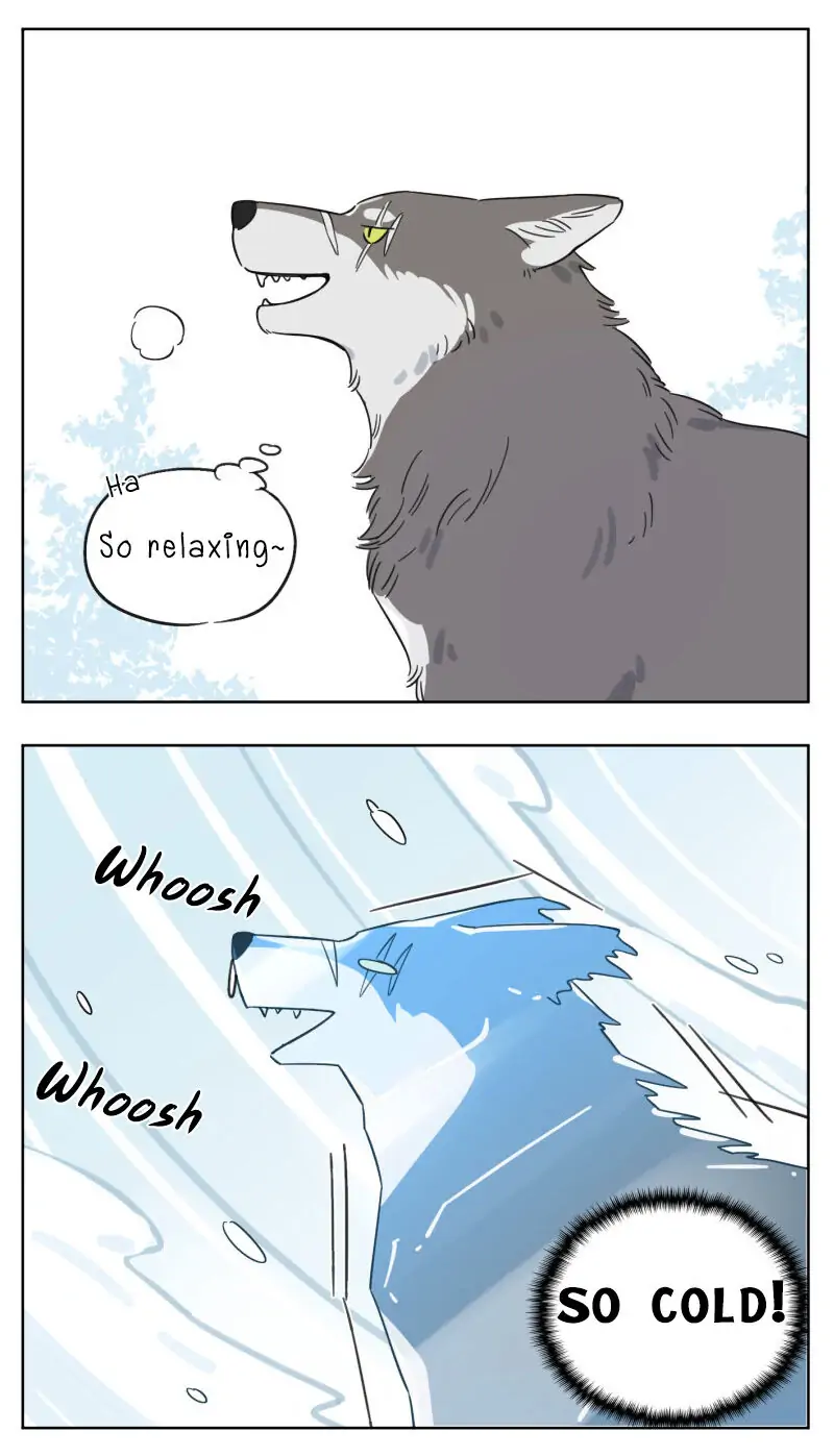 Papa Wolf and The Puppy - Chapter 2 manhwa