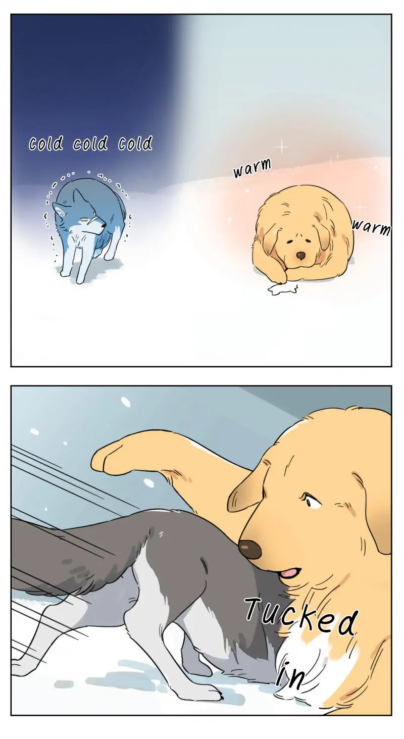 Papa Wolf and The Puppy - Chapter 2 manhwa