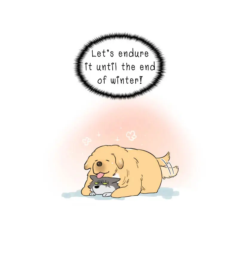 Papa Wolf and The Puppy - Chapter 2 manhwa