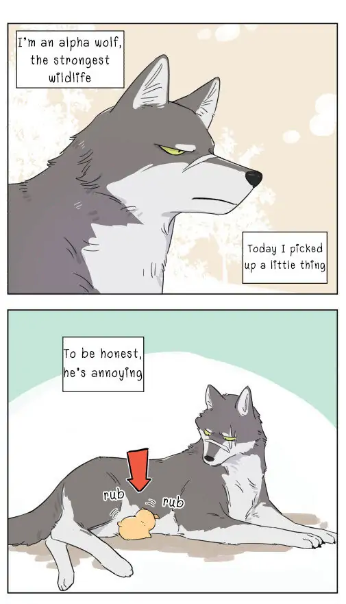 Papa Wolf and The Puppy - Chapter 3 manhwa