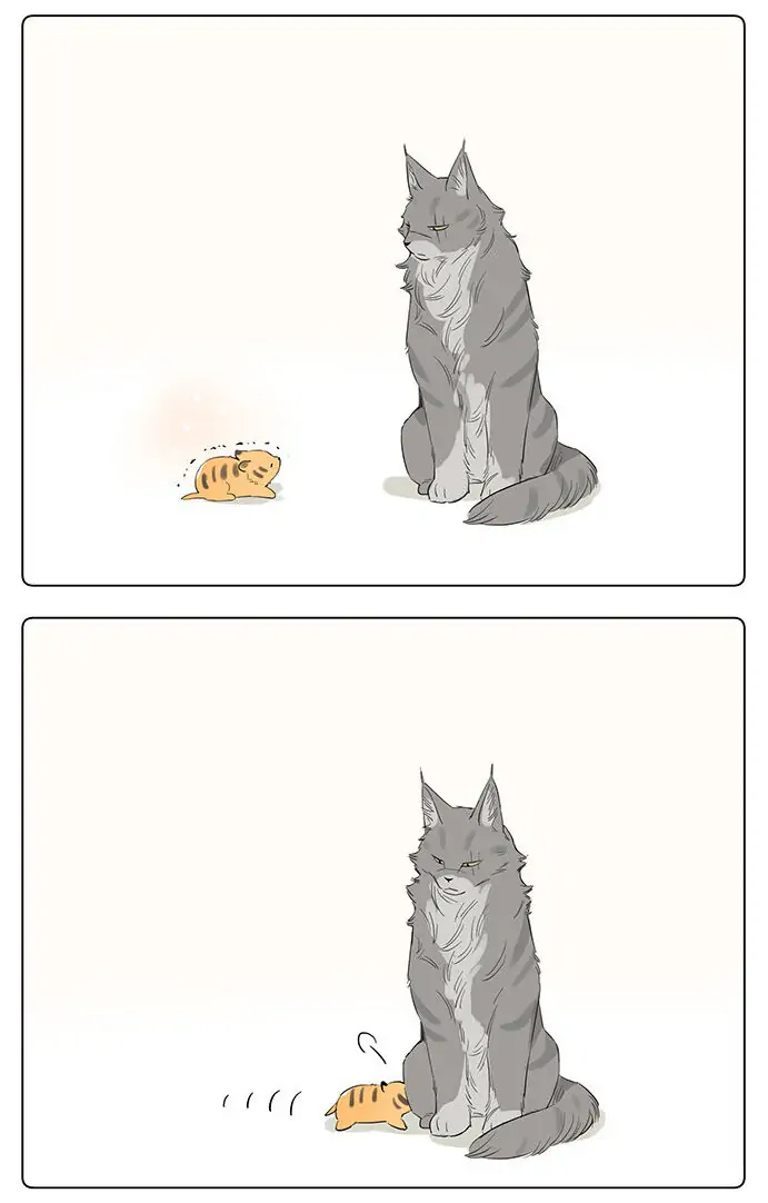 Papa Wolf and The Puppy - Chapter 34 manhwa