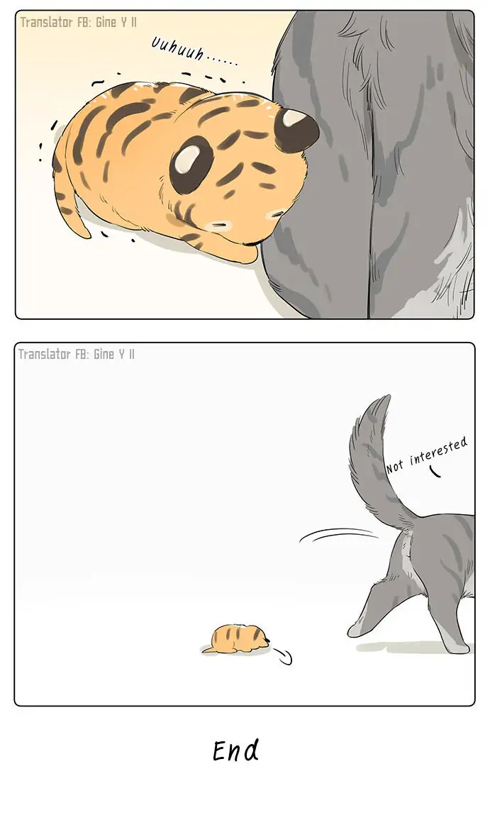 Papa Wolf and The Puppy - Chapter 34 manhwa