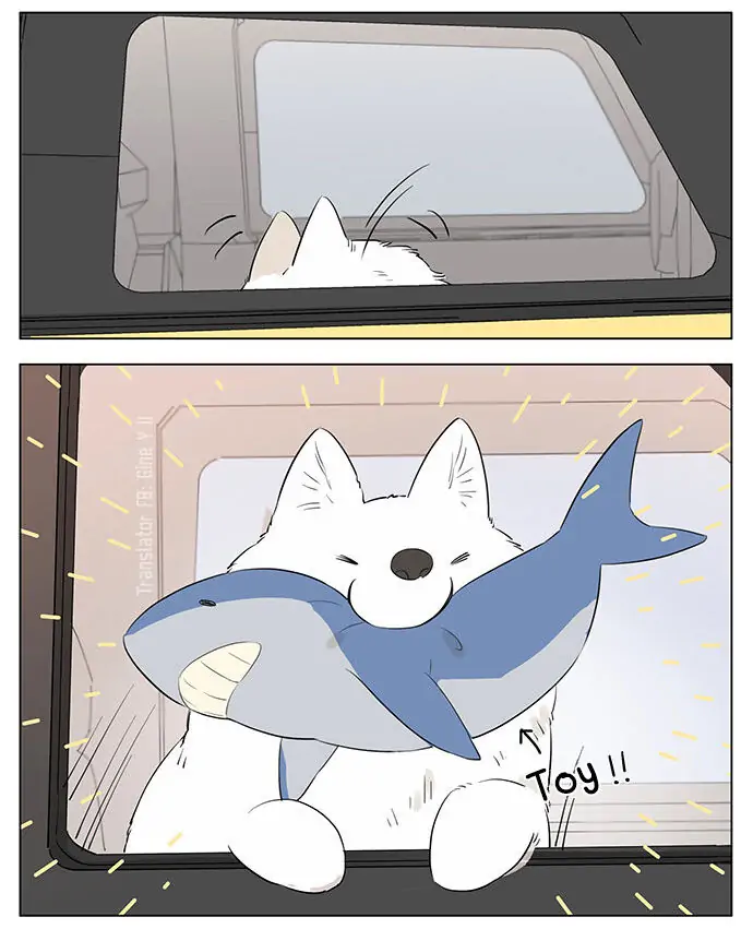 Papa Wolf and The Puppy - Chapter 36 manhwa