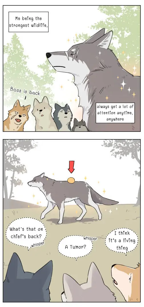 Papa Wolf and The Puppy - Chapter 4 manhwa