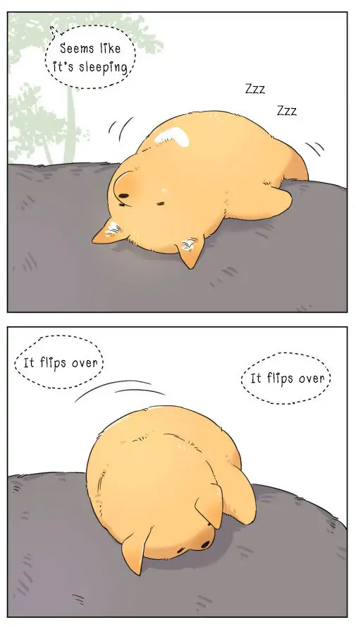 Papa Wolf and The Puppy - Chapter 4 manhwa