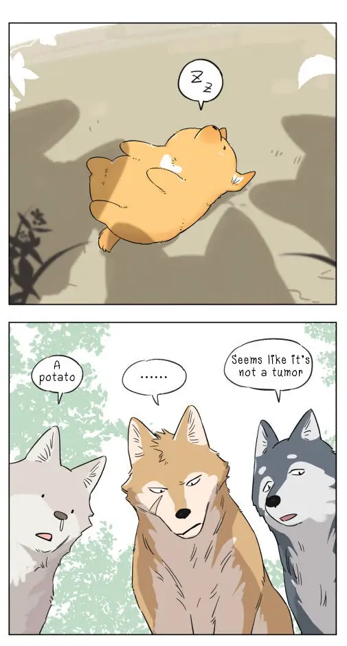 Papa Wolf and The Puppy - Chapter 4 manhwa