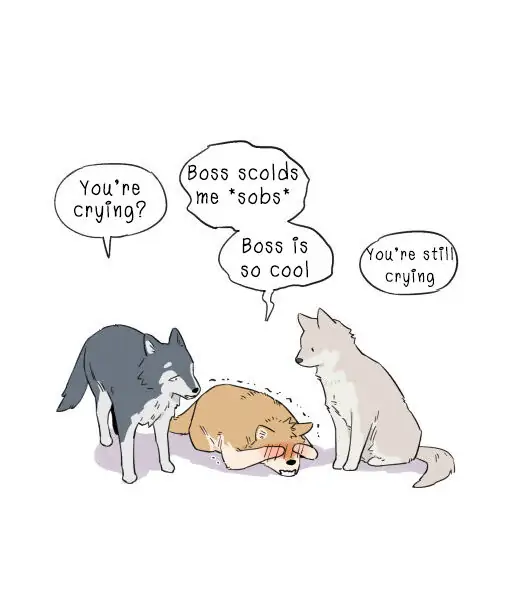 Papa Wolf and The Puppy - Chapter 4 manhwa
