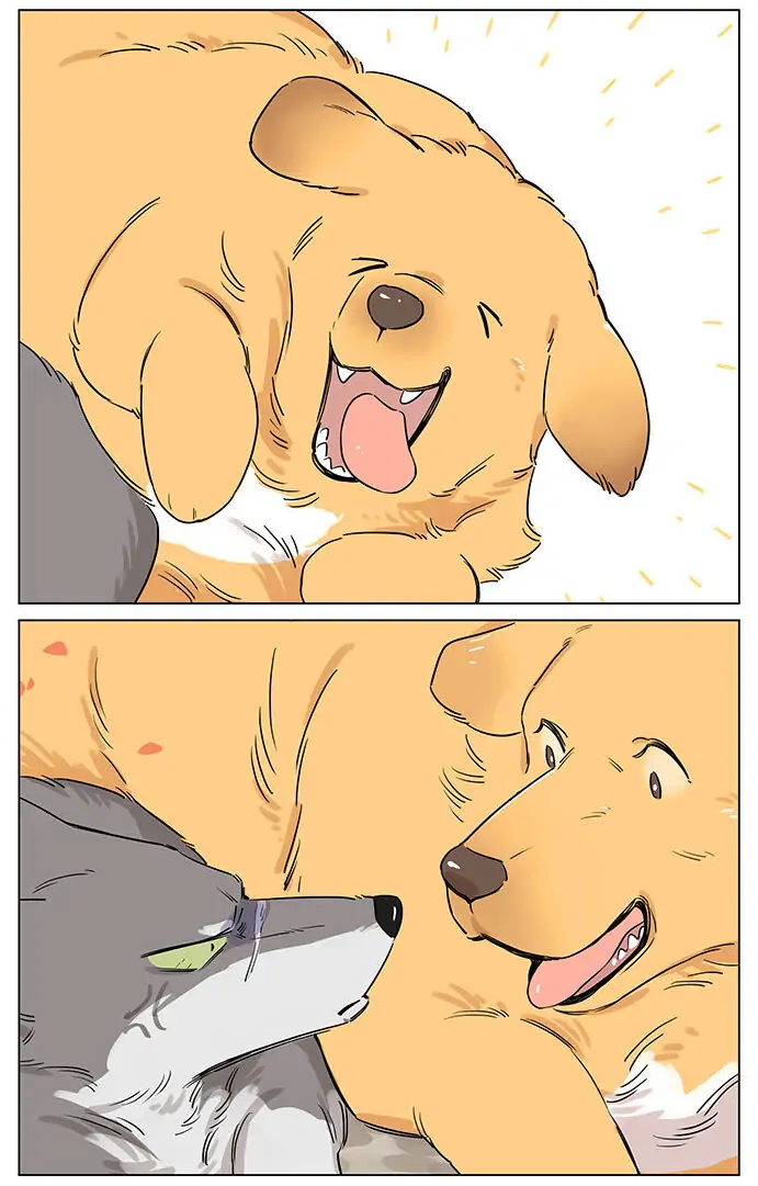Papa Wolf and The Puppy - Chapter 49 manhwa