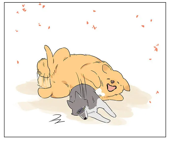 Papa Wolf and The Puppy - Chapter 49 manhwa