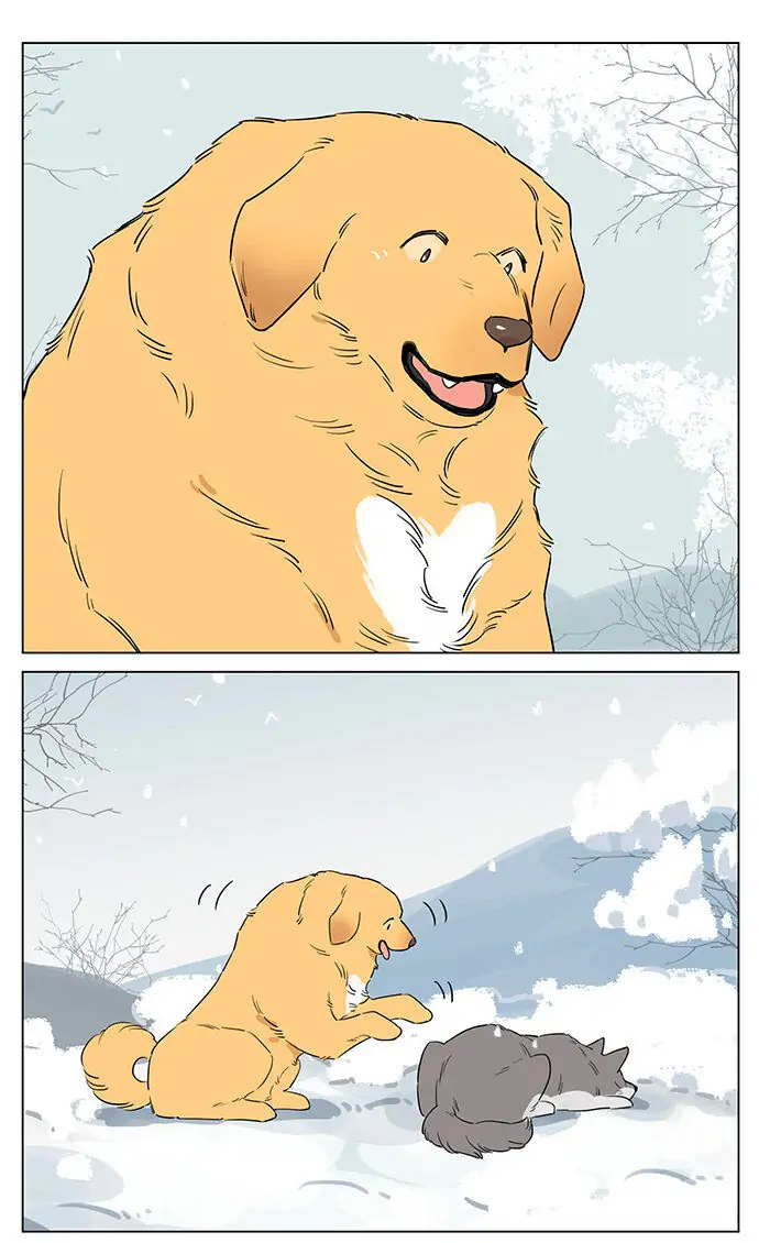 Papa Wolf and The Puppy - Chapter 49 manhwa