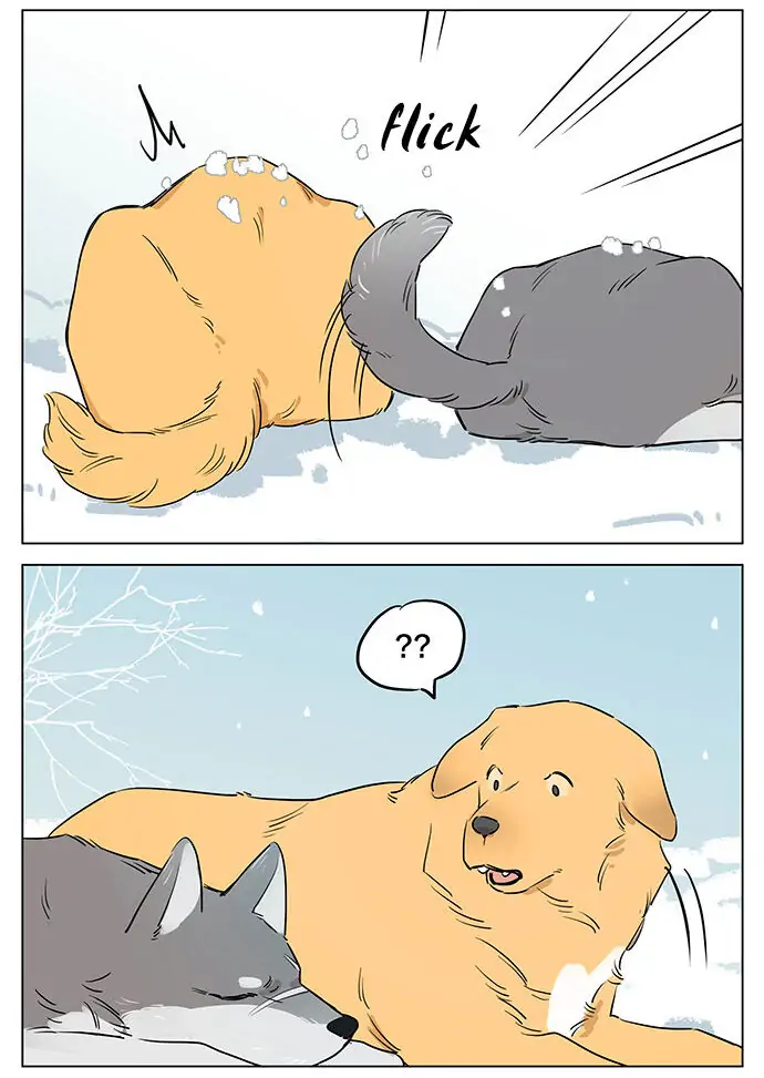 Papa Wolf and The Puppy - Chapter 49 manhwa