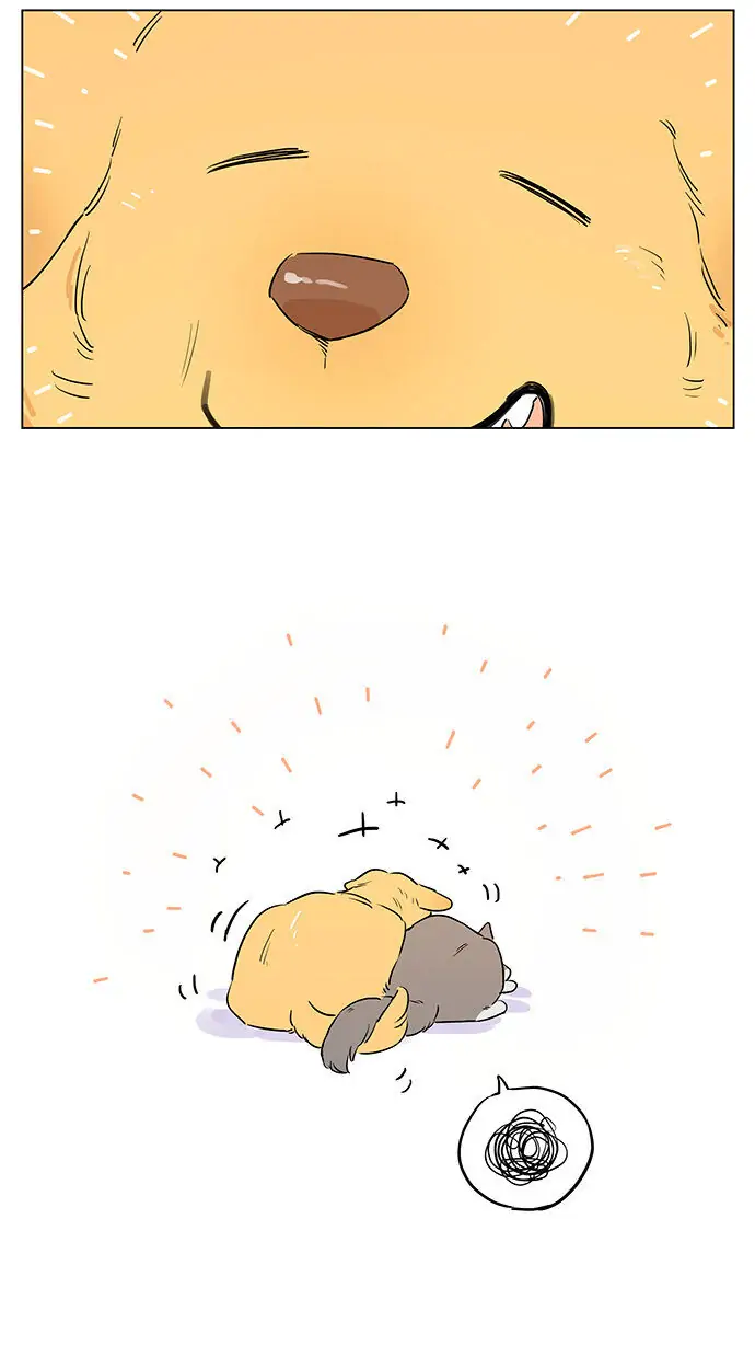 Papa Wolf and The Puppy - Chapter 49 manhwa
