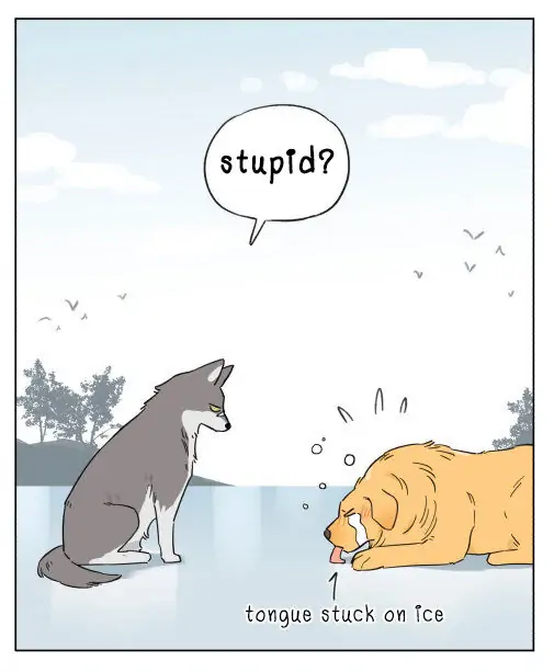Papa Wolf and The Puppy - Chapter 5 manhwa
