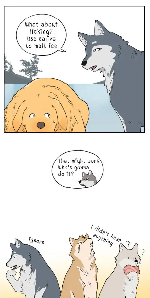 Papa Wolf and The Puppy - Chapter 5 manhwa