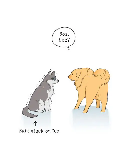 Papa Wolf and The Puppy - Chapter 5 manhwa