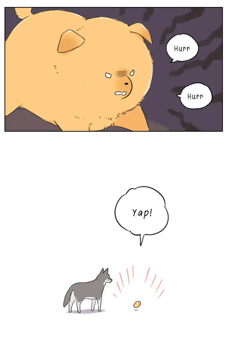 Papa Wolf and The Puppy - Chapter 6 manhwa