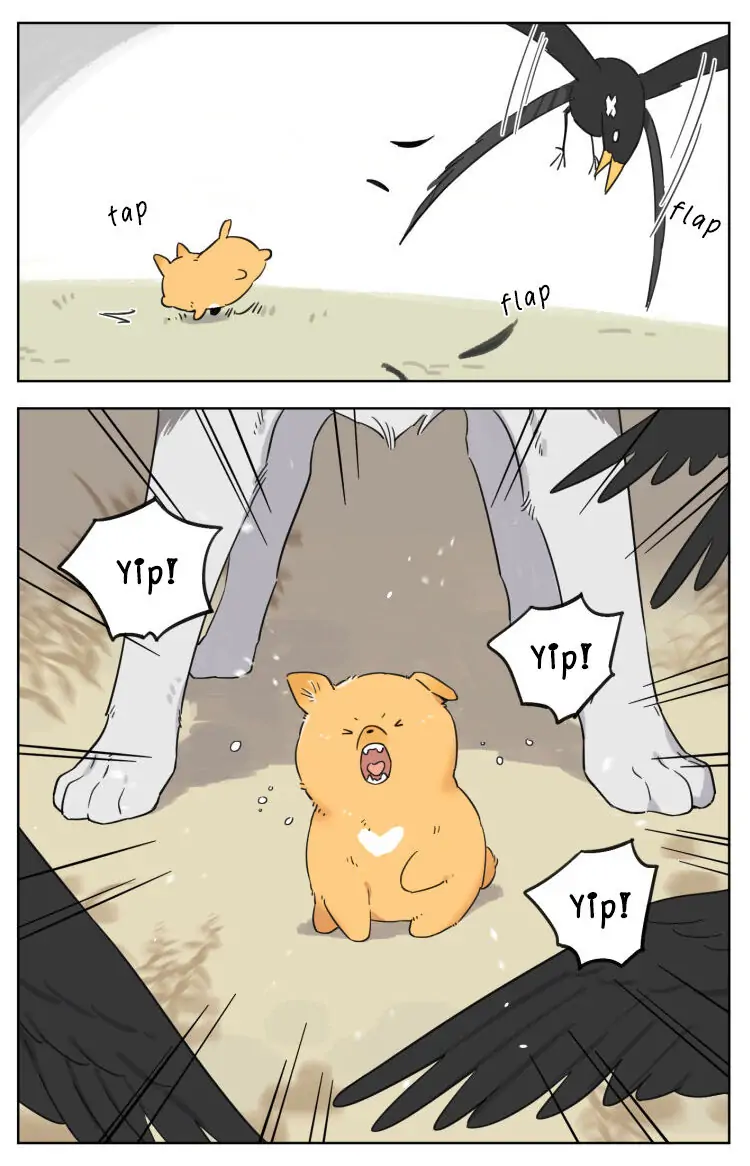 Papa Wolf and The Puppy - Chapter 6 manhwa