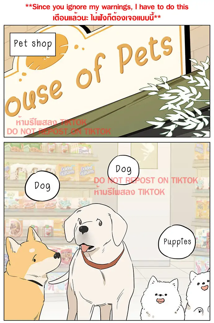 Papa Wolf and The Puppy - Chapter 61 manhwa