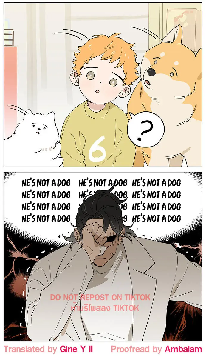Papa Wolf and The Puppy - Chapter 61 manhwa