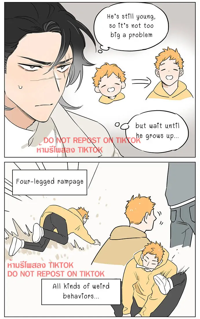 Papa Wolf and The Puppy - Chapter 61 manhwa