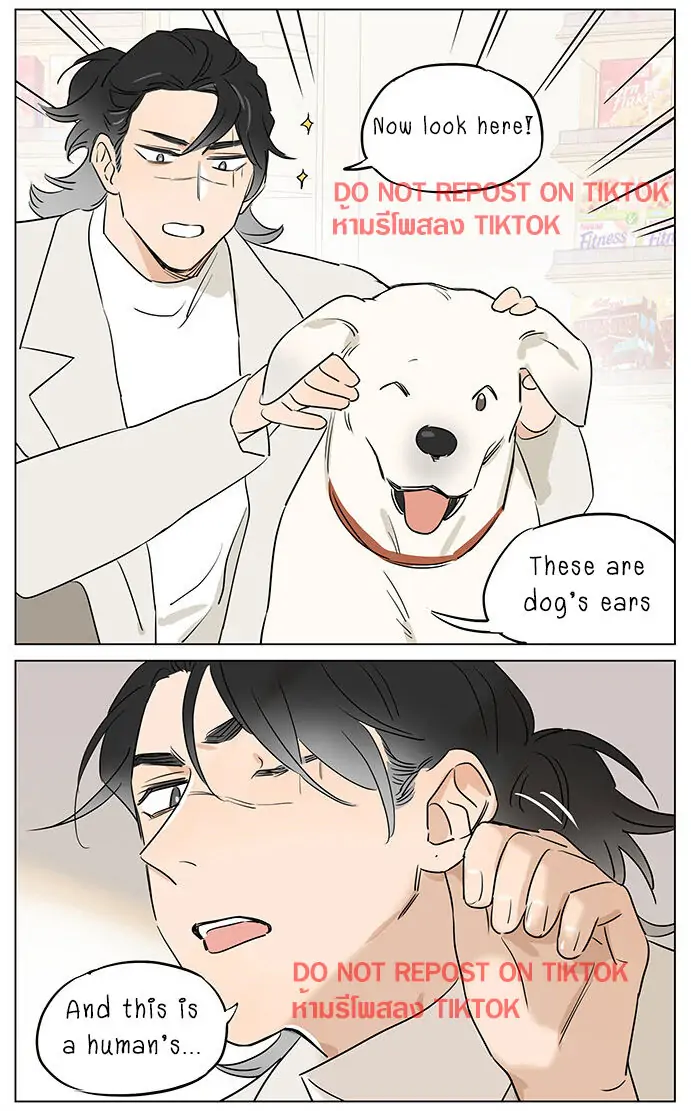 Papa Wolf and The Puppy - Chapter 61 manhwa