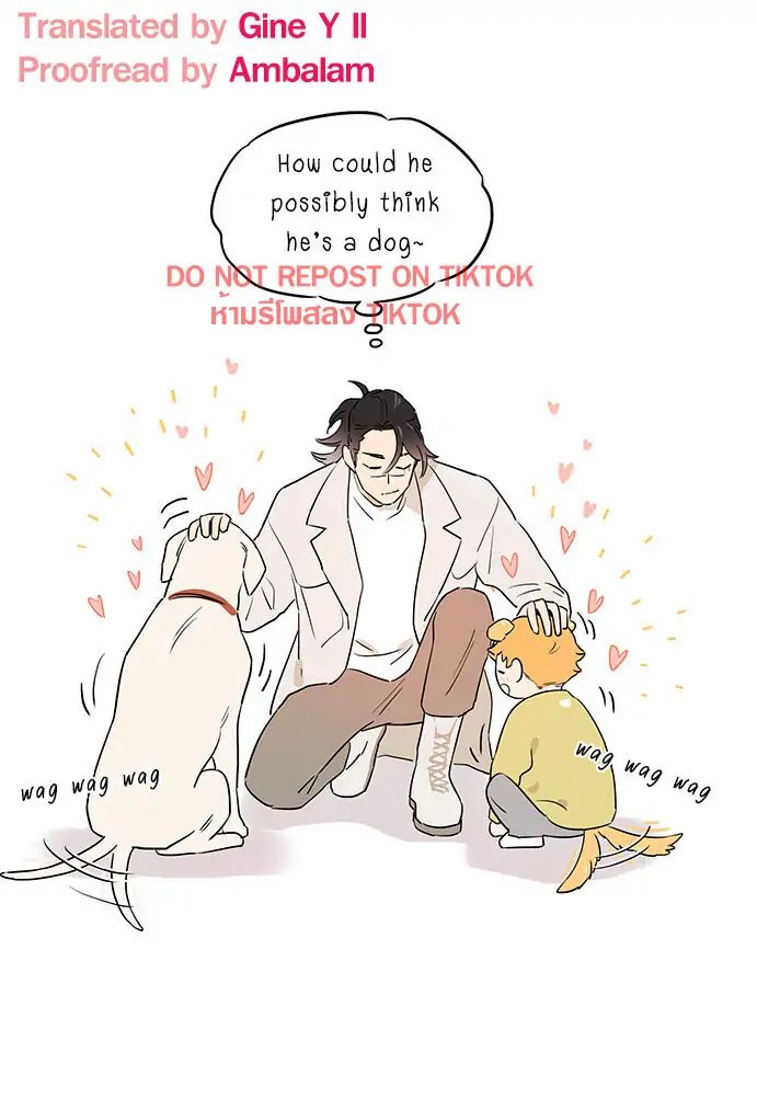 Papa Wolf and The Puppy - Chapter 61 manhwa