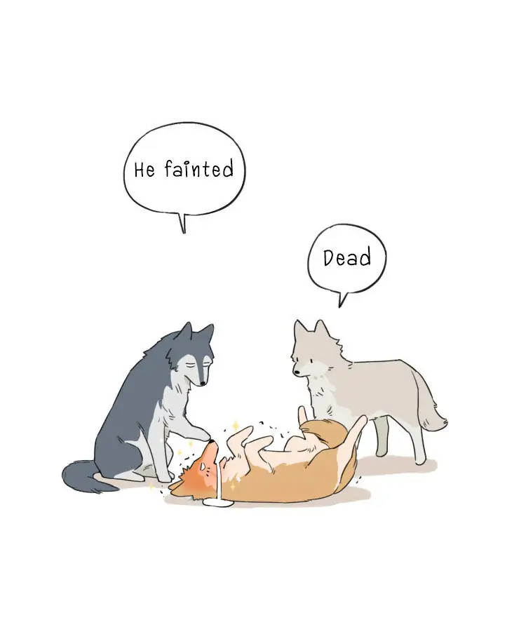 Papa Wolf and The Puppy - Chapter 7 manhwa