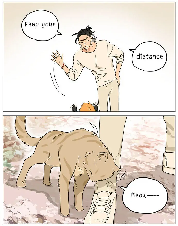 Papa Wolf and The Puppy - Chapter 73 manhwa