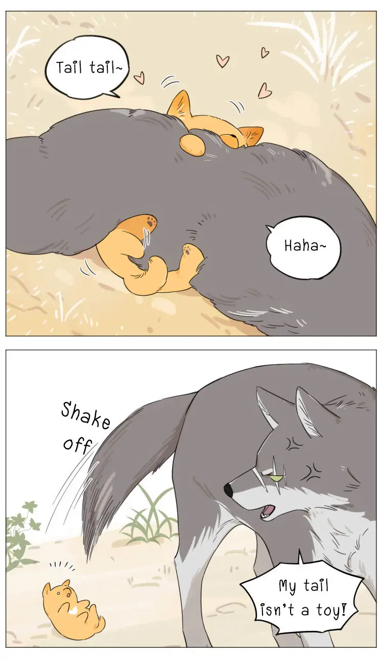 Papa Wolf and The Puppy - Chapter 8 manhwa