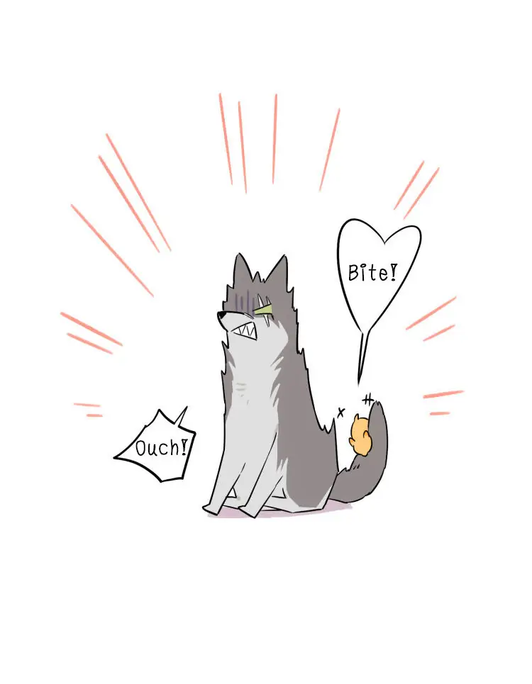 Papa Wolf and The Puppy - Chapter 8 manhwa