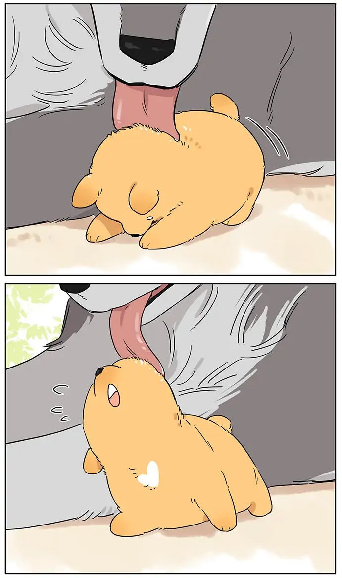 Papa Wolf and The Puppy - Chapter 80 manhwa