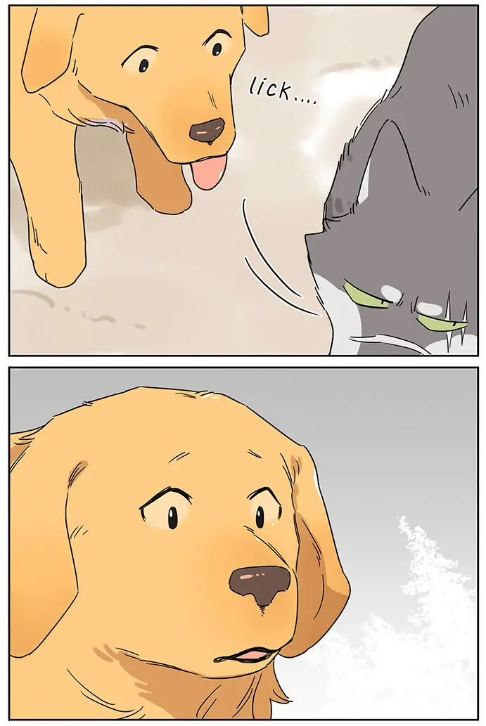 Papa Wolf and The Puppy - Chapter 80 manhwa