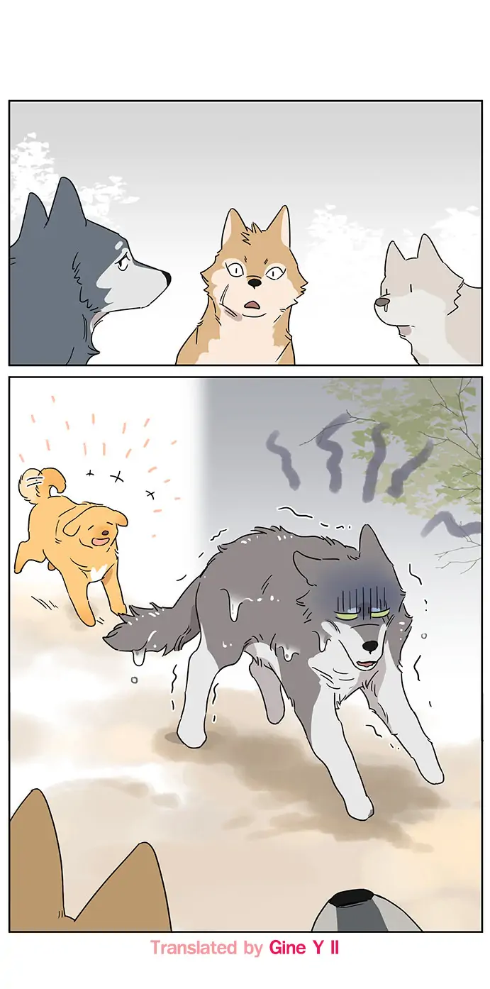 Papa Wolf and The Puppy - Chapter 80 manhwa