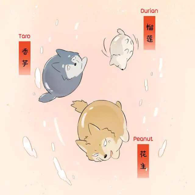 Papa Wolf and The Puppy - (Pictures) Lantern Festival's Tangyuan manhwa