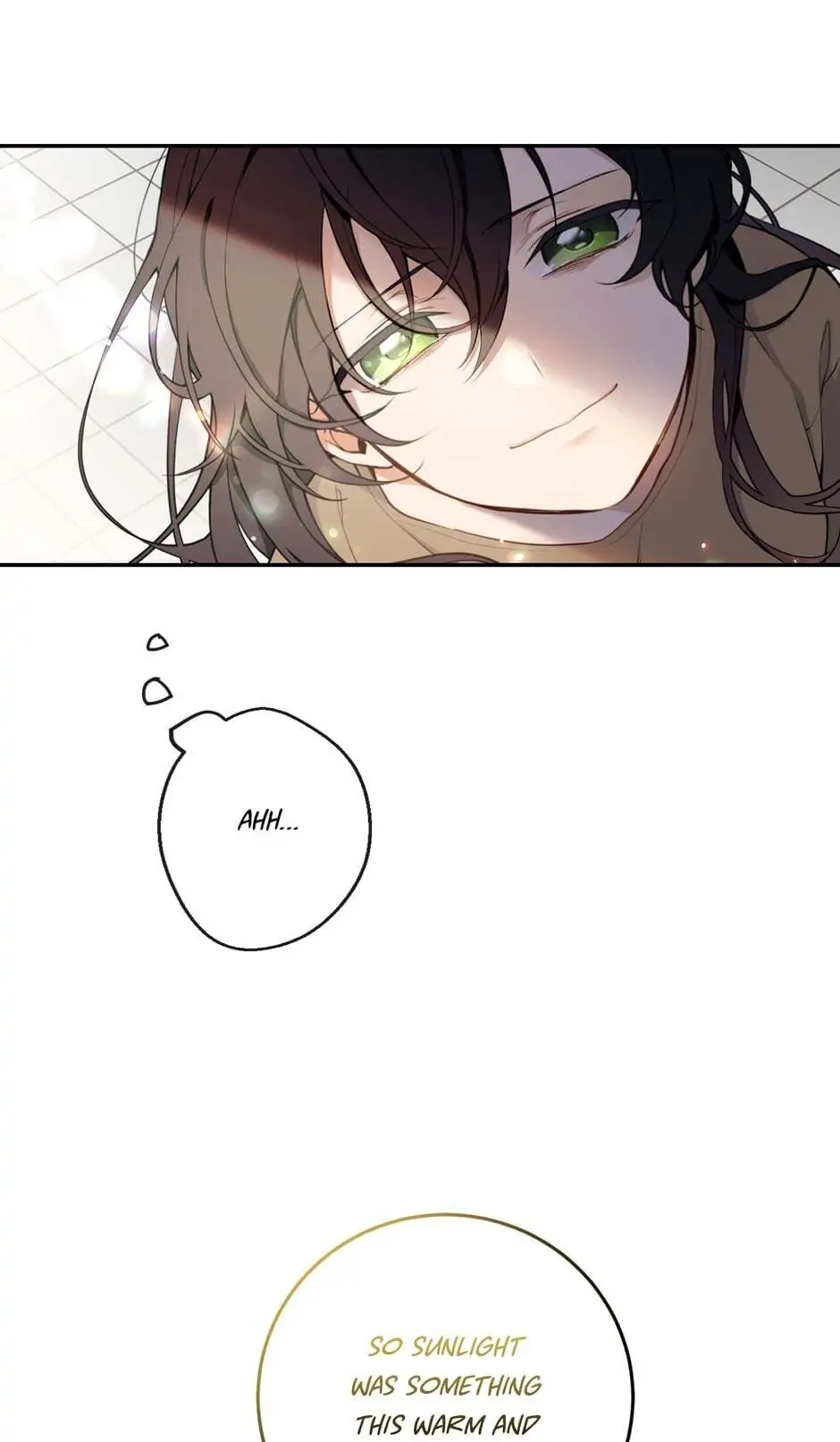 Into the Light Once Again [Official] - Chapter 1 manhwa