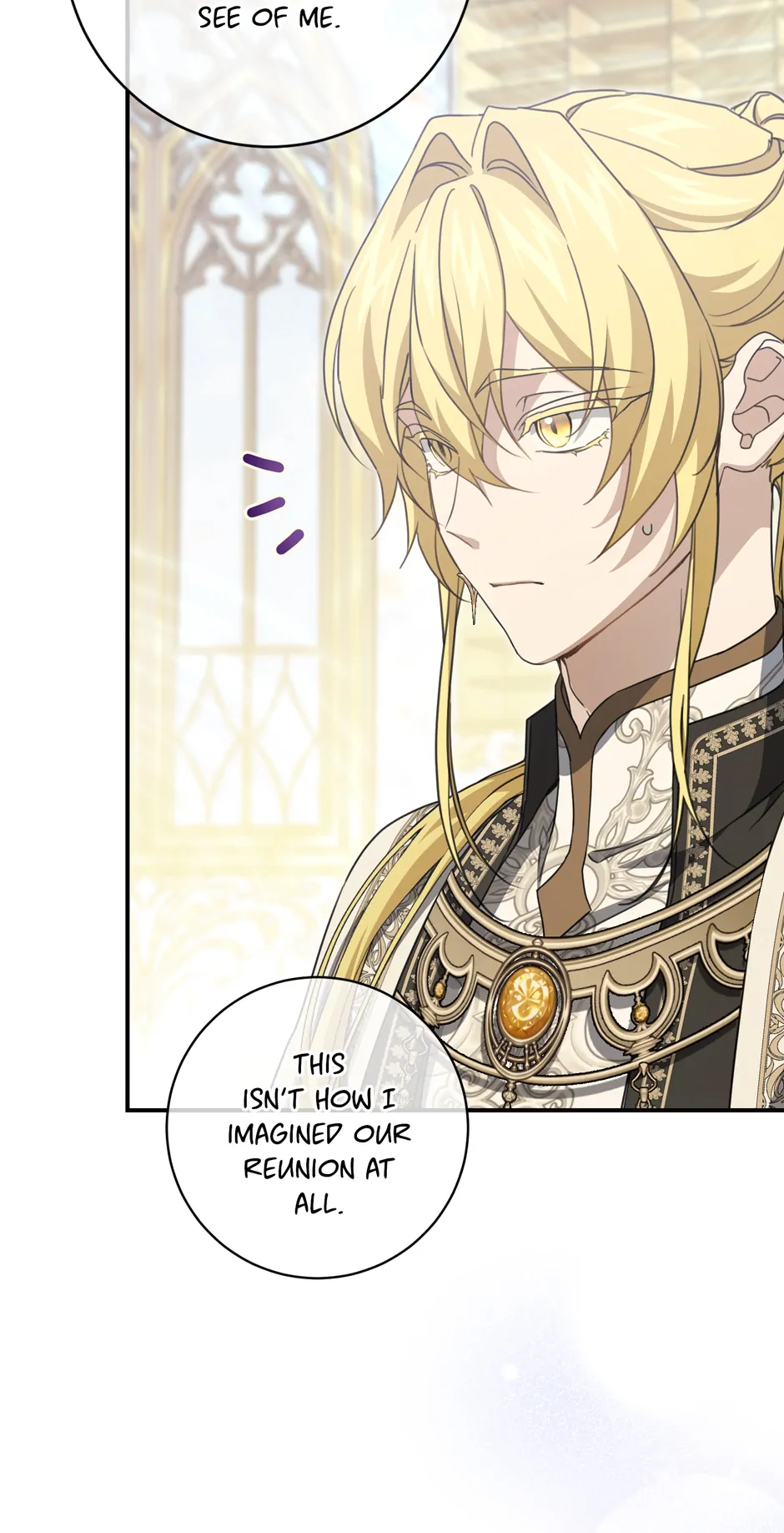 Into the Light Once Again [Official] - Chapter 102 manhwa