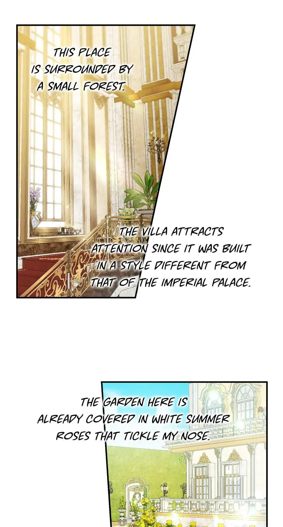 Into the Light Once Again [Official] - Chapter 36 manhwa