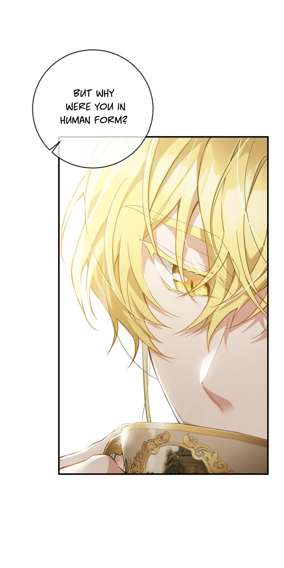 Into the Light Once Again [Official] - Chapter 49 manhwa