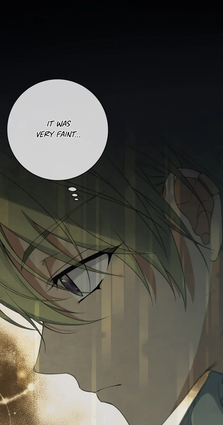 Into the Light Once Again [Official] - Chapter 66 manhwa