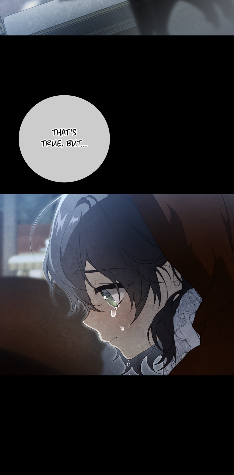 Into the Light Once Again [Official] - Chapter 88 manhwa