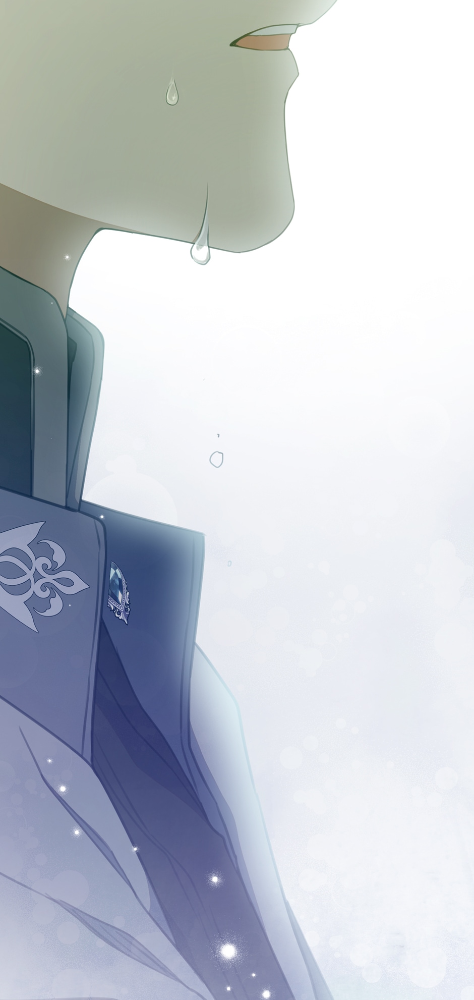 Into the Light Once Again [Official] - Chapter 88 manhwa