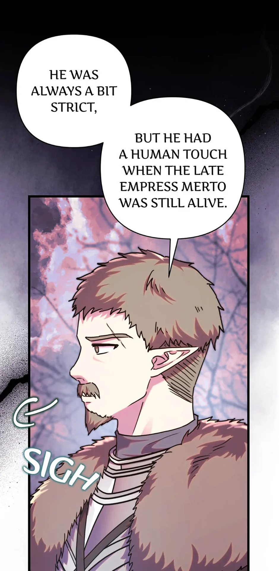 Another Typical Fantasy Romance - Chapter 133 manhwa