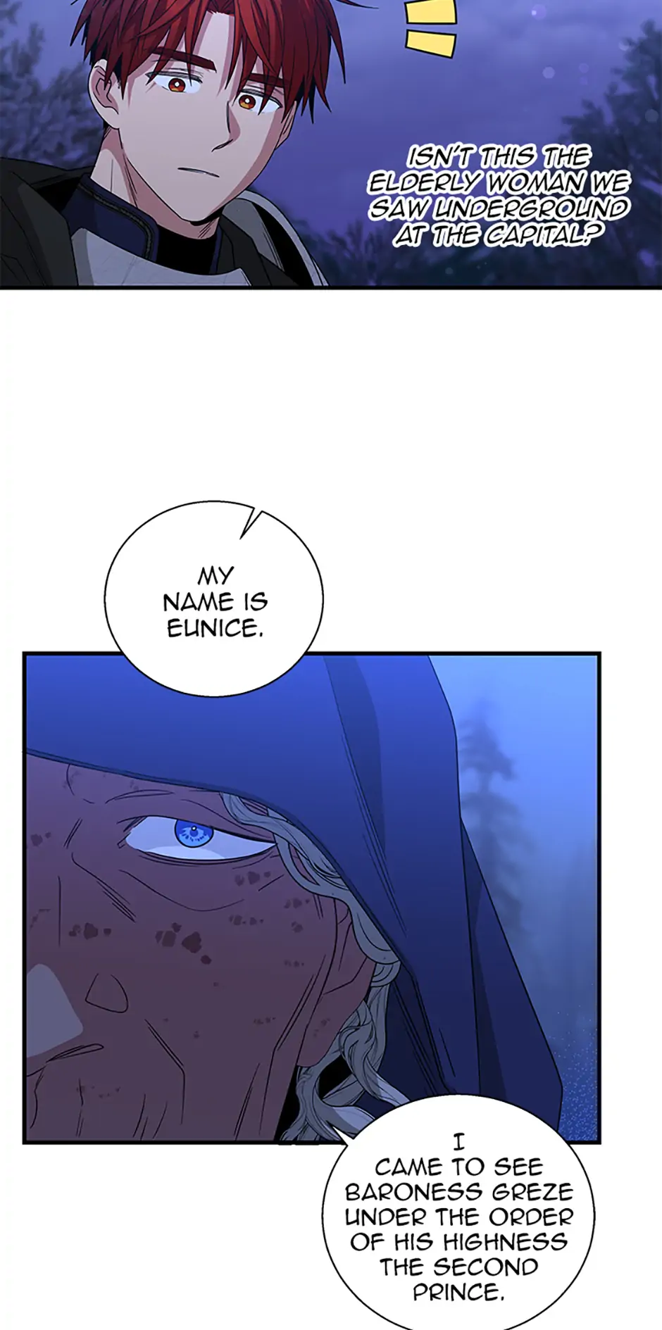 Baroness Goes on Strike [Mature](Official) - Chapter 117 manhwa