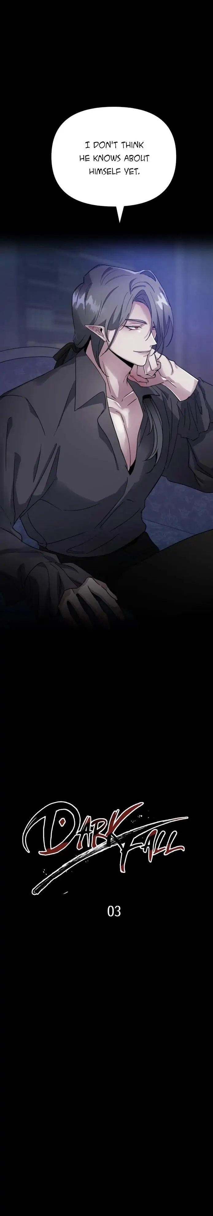 Dark Fall ﹛Official﹜ - Chapter 3 manhwa