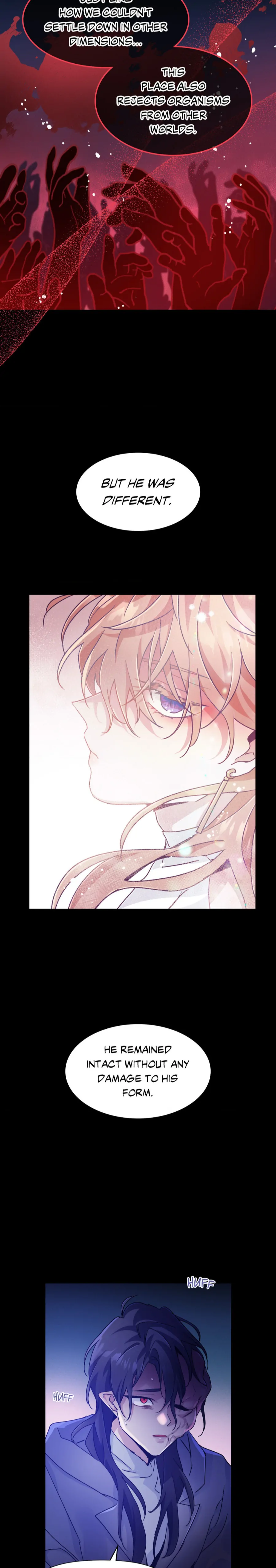 Dark Fall ﹛Official﹜ - Chapter 52 manhwa
