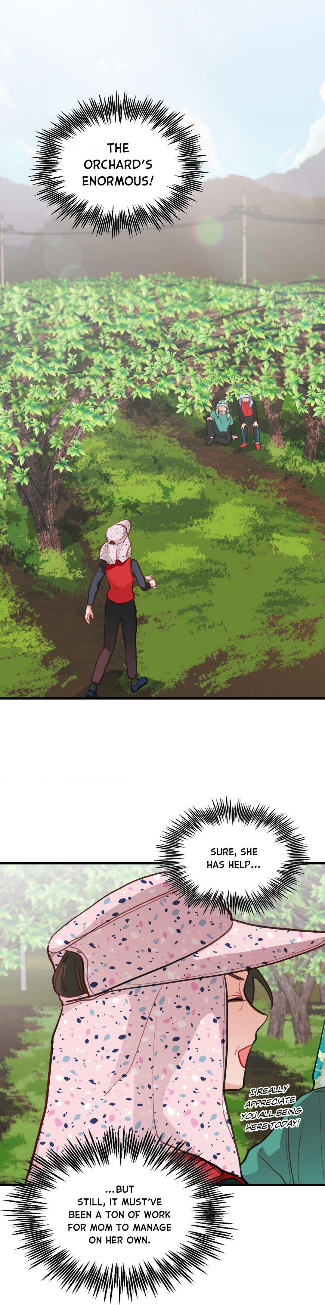 When Pear Blossoms Bloom - Chapter 16  : Official Translation manhwa
