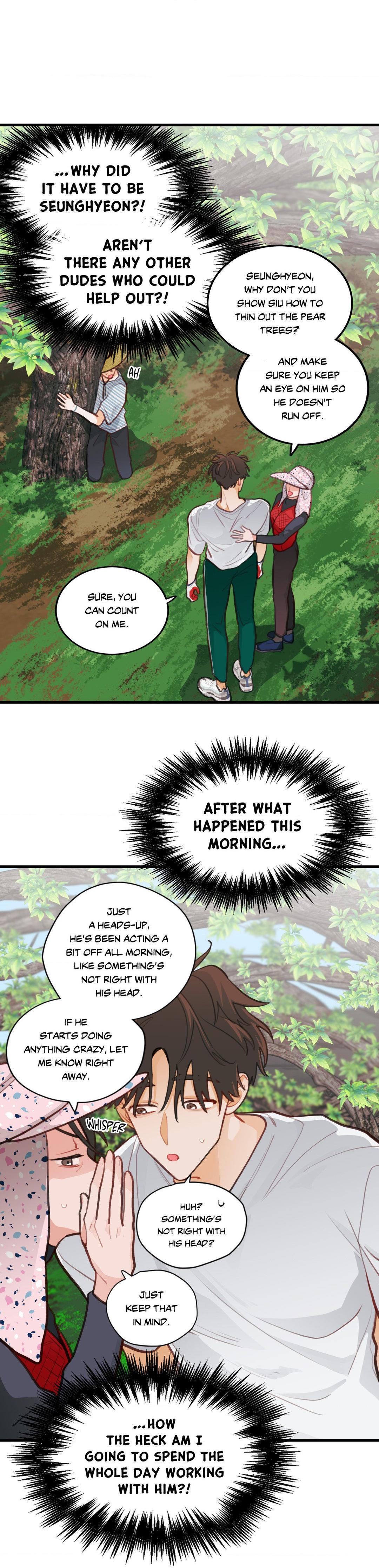 When Pear Blossoms Bloom - Chapter 16  : Official Translation manhwa