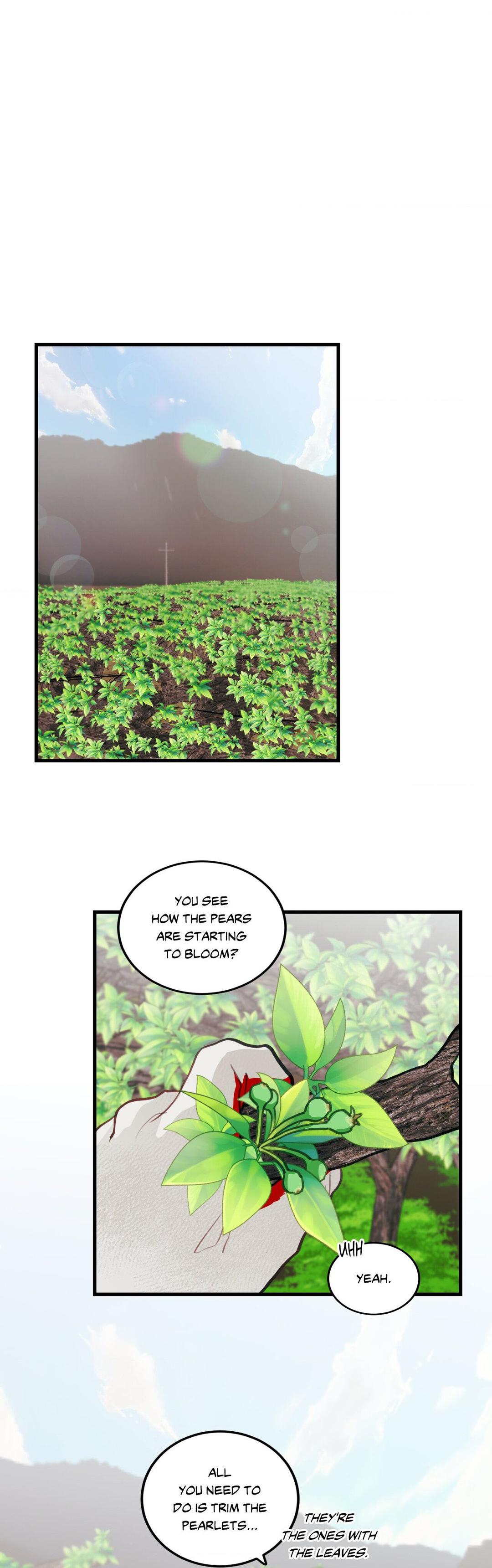 When Pear Blossoms Bloom - Chapter 16  : Official Translation manhwa