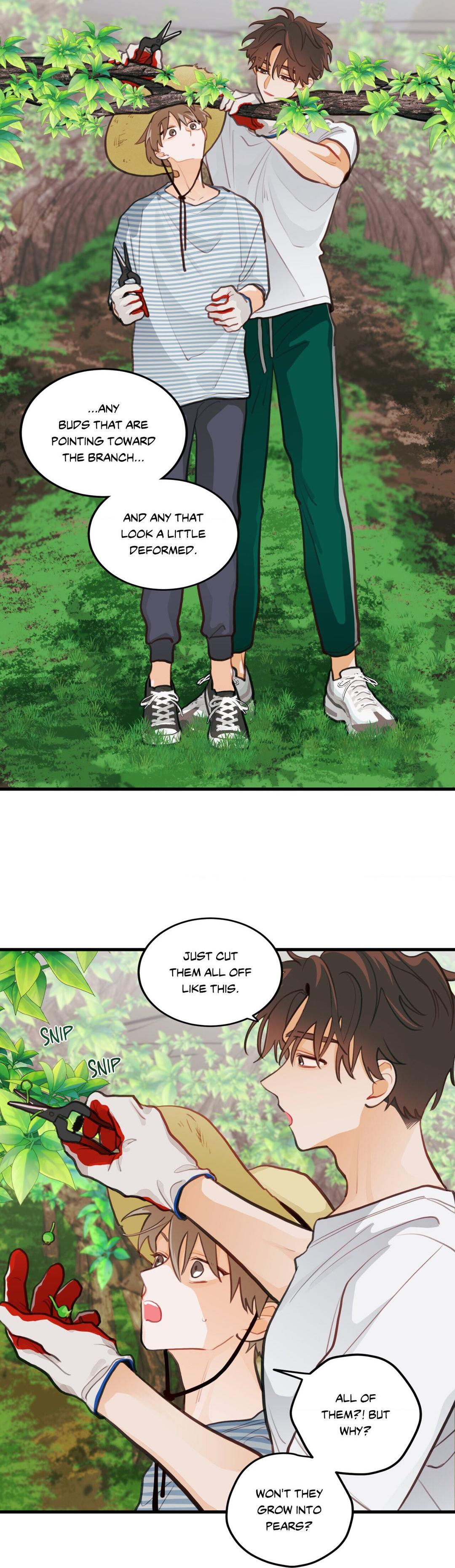 When Pear Blossoms Bloom - Chapter 16  : Official Translation manhwa